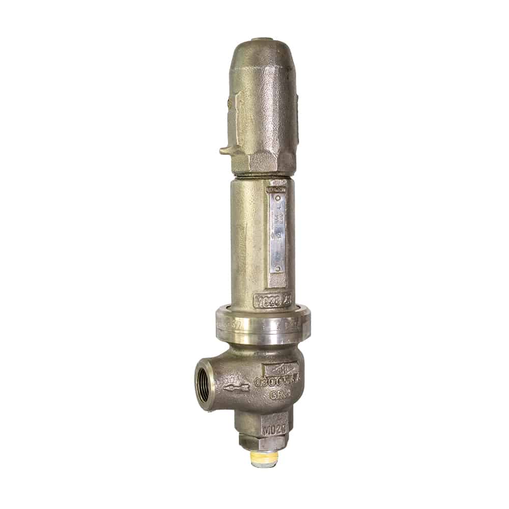 ARI Safety Valve Valmatic
